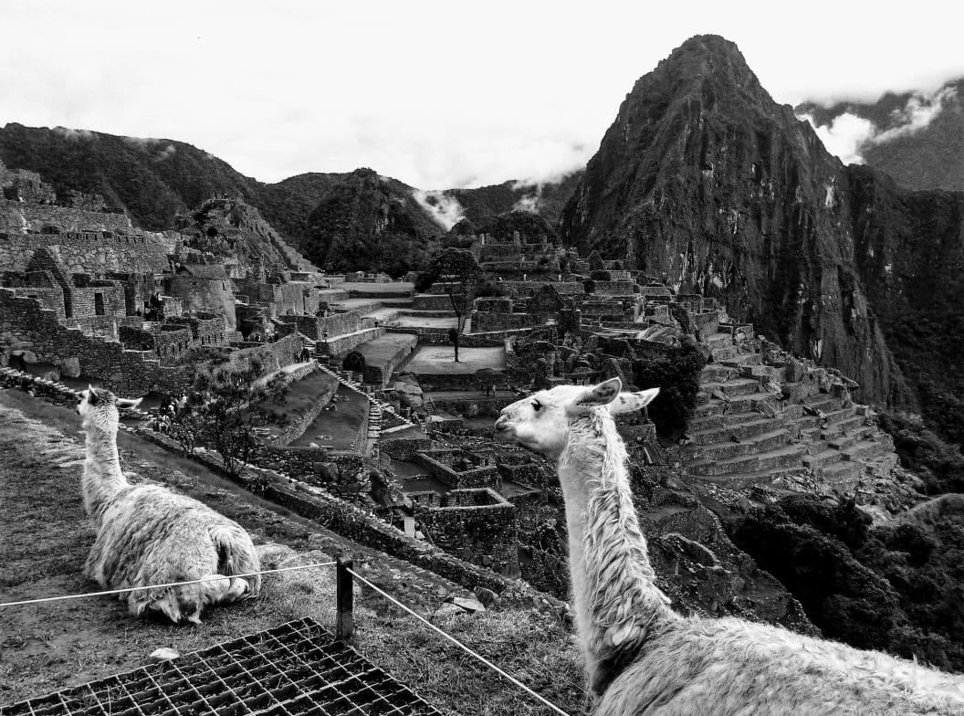Picos House Machu Picchu Exterior foto